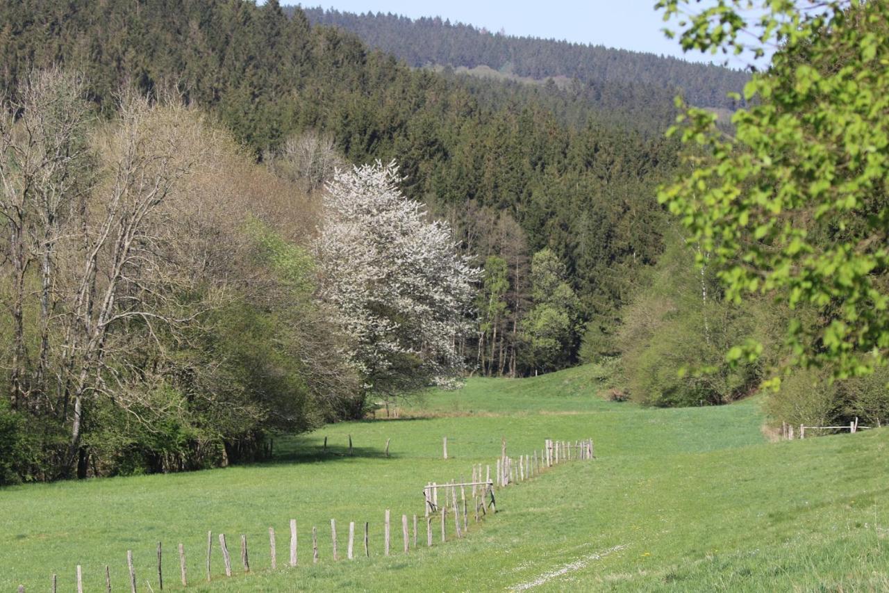 Le Clos Du Cerf - Silence & Nature Stoumont Exterior photo